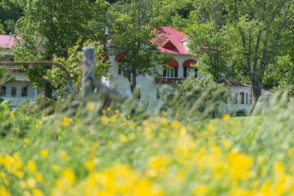 Auberge La Courtepointe Petite-Riviere-Saint-Francois Esterno foto